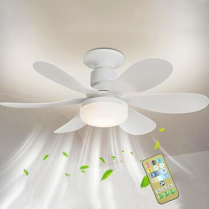 Ventilador 2 en 1