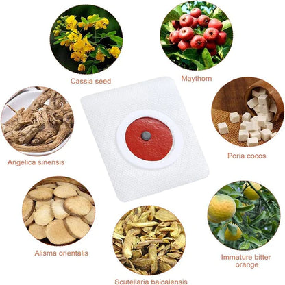 Slim Patch (packs 90) parches DETOX
